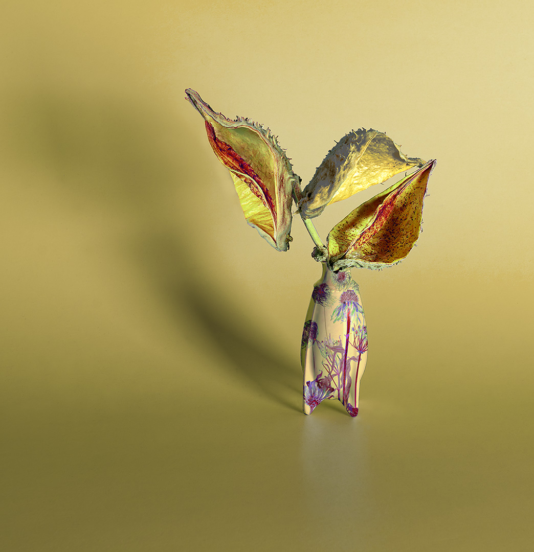 Still Life  #3